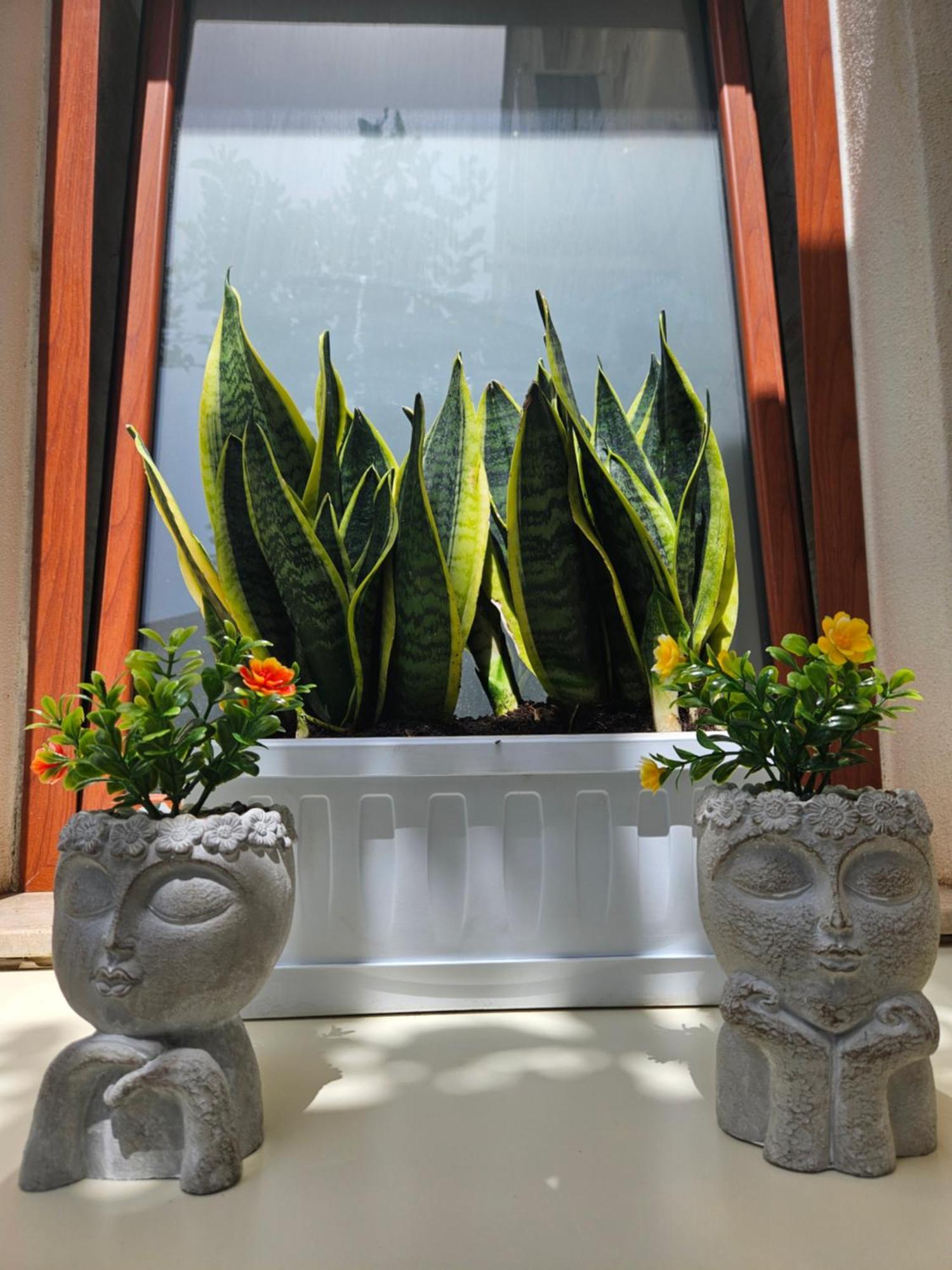 Guru House B&B Apartments Milazzo Exteriér fotografie